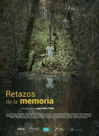 Remnants of memory (2026)