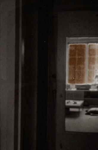 Apt. 309 (2016)