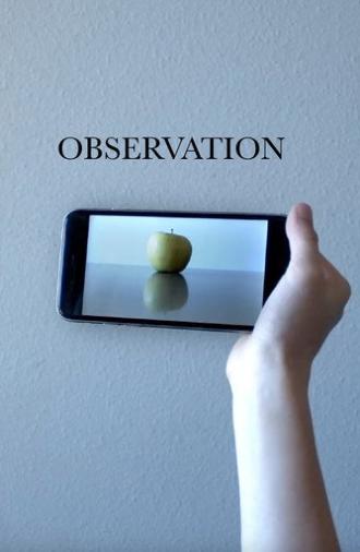 Observation (2024)