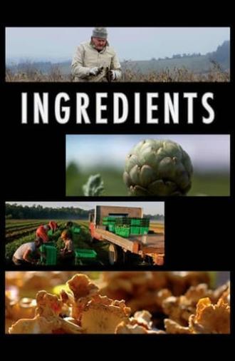 Ingredients (2009)