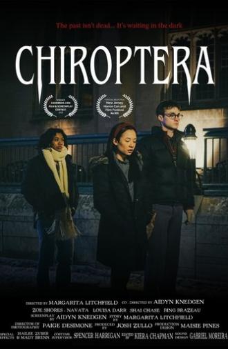 Chiroptera (2025)