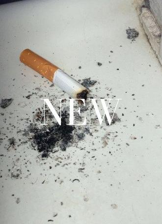 New (2026)