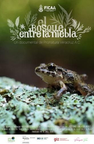 El bosque entre la niebla (2024)
