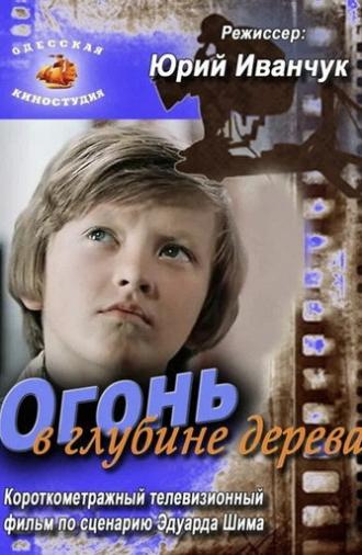Fire in the Depths of the Tree (1978)