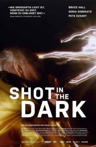 Shot in the Dark (2017)