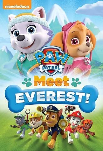 Paw Patrol: Meet Everest (2016)