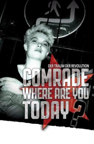 Comrade, Where Are You Today? (2016)