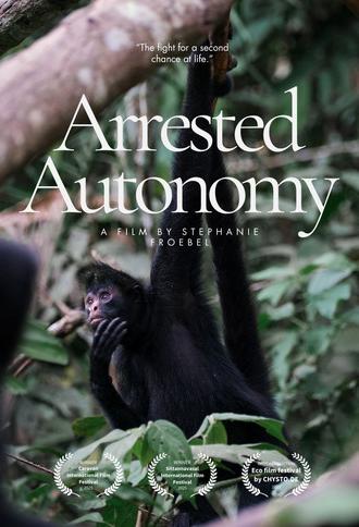 Arrested Autonomy (2025)