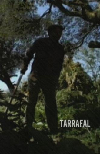 Tarrafal (2007)