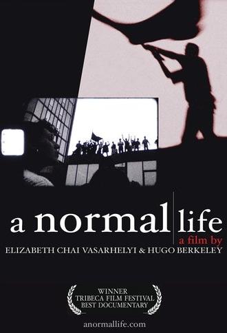A Normal Life (2003)