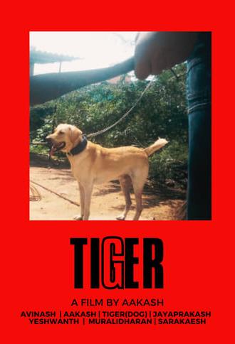 TIGER (2019)