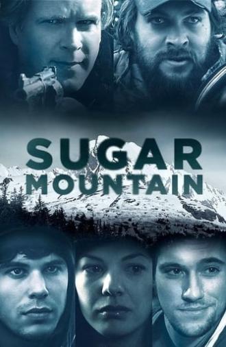 Sugar Mountain (2016)