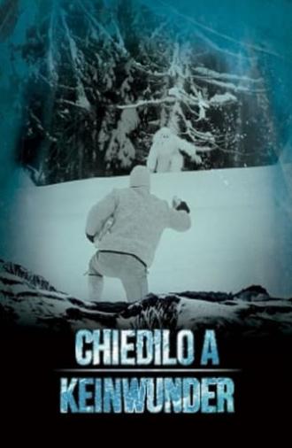 Chiedilo a Keinwunder (2014)