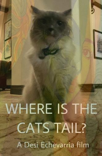 Where Is The Cat's Tail? (2026)