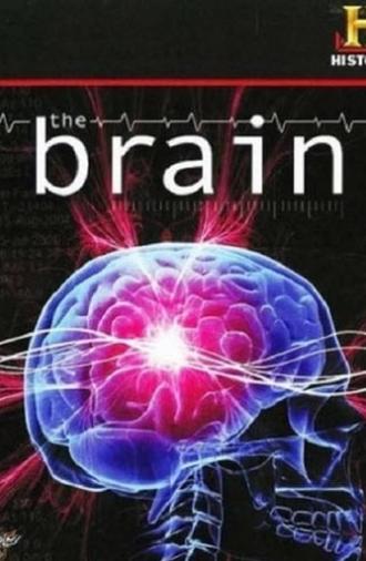 The Brain (2008)