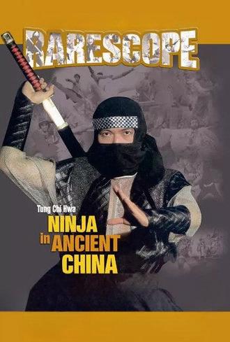 Ninja in Ancient China (1993)