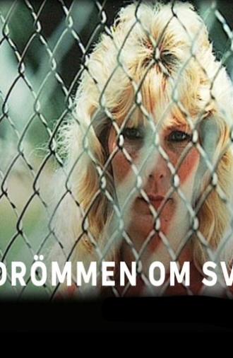 Drömmen Om Sverige (2011)