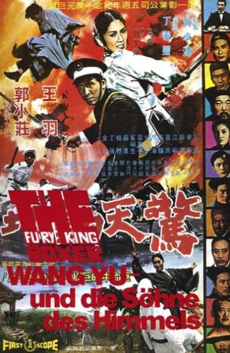 Fury of King Boxer (1972)