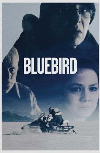 Bluebird (2014)