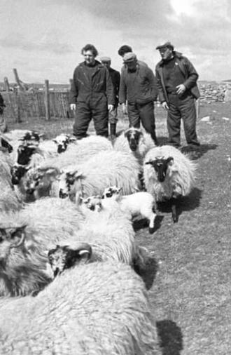 The Shepherds of Berneray (1981)