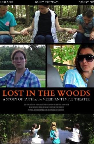 Lost in the Woods (2017)