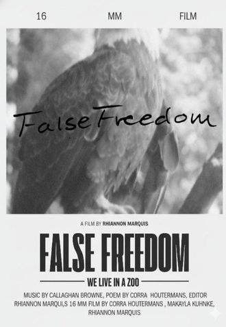 False Freedom (2026)