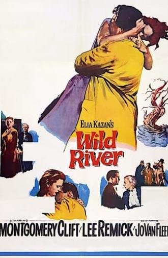 Wild River (1960)