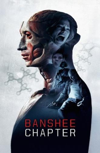 Banshee Chapter (2013)