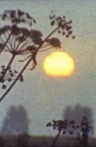 My Weekend (1987)