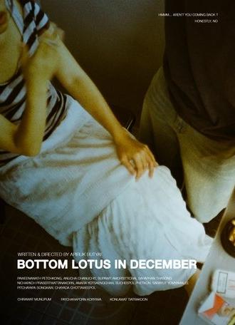 Bottom Lotus In December (2025)