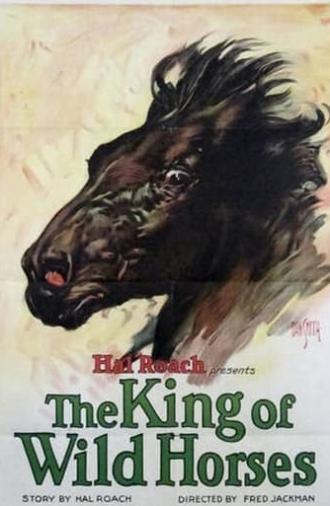 The King of the Wild Horses (1924)