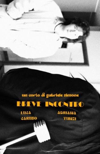 Breve incontro (2025)