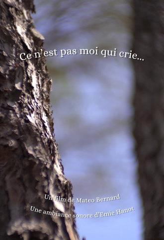 Ce n'est pas moi qui crie... (2026)