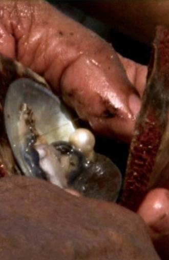 Pearl Islands (2022)