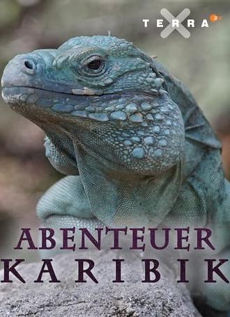 Abenteuer Karibik (2017)