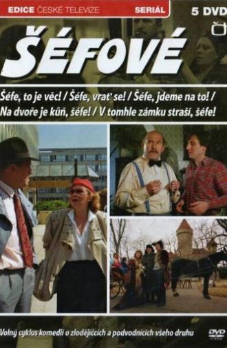 Chief, There Is a Horse in the Backyard (1989)