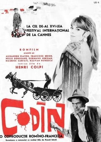 Codine (1963)