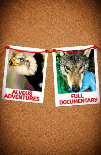 Alveus Adventures (2025)