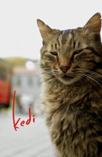 Kedi (2017)