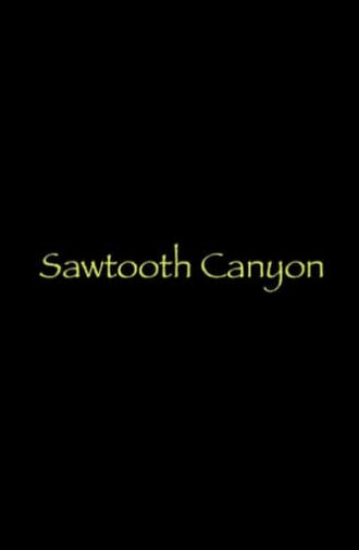 Sawtooth Canyon (2019)