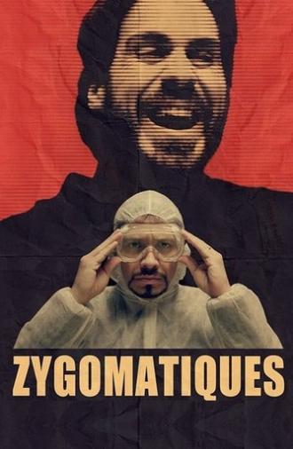 Zygomatiques (2013)