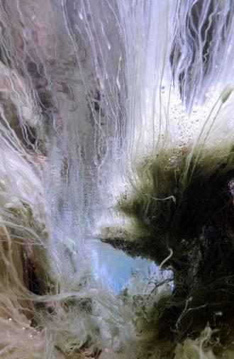 The Stream XII (2022)