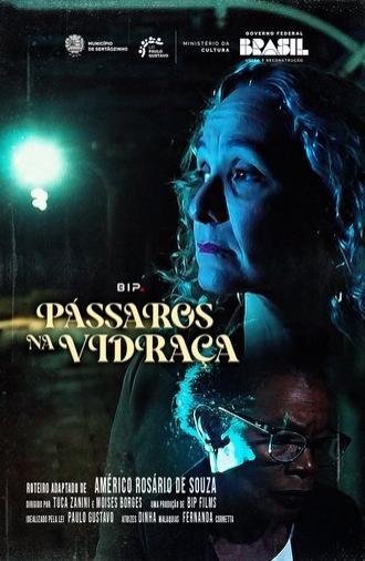 Pássaros na Vidraça (2025)