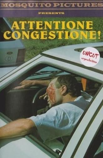 Attentione Congestione! (1995)