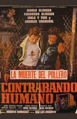Contrabando Humano (1982)