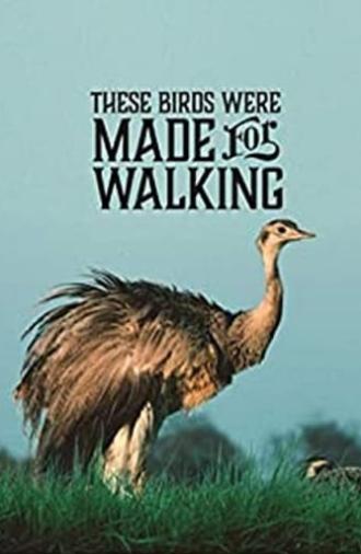 These Birds Were Made for Walking (2020)