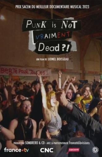 Punk is not vraiment dead ?! (2023)