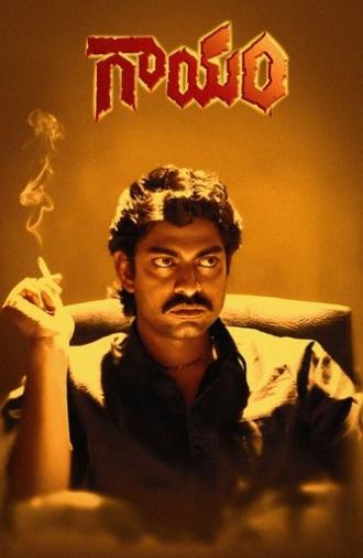 Gaayam (1993)
