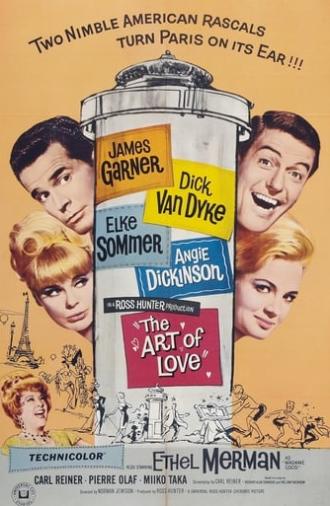 The Art of Love (1965)