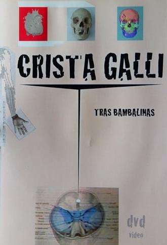 Crista Galli: Tras Bambalinas (2008)